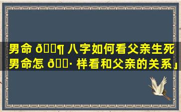 男命 🐶 八字如何看父亲生死「男命怎 🌷 样看和父亲的关系」